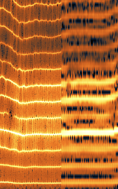 left-16xpadding-right-nopadding.png